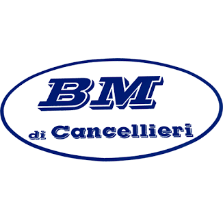 Bm di Cancellieri Massimo Bruno e C Srl Logo