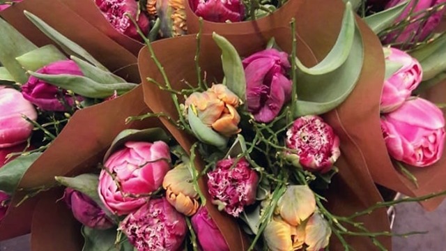 Images Florine Blomster