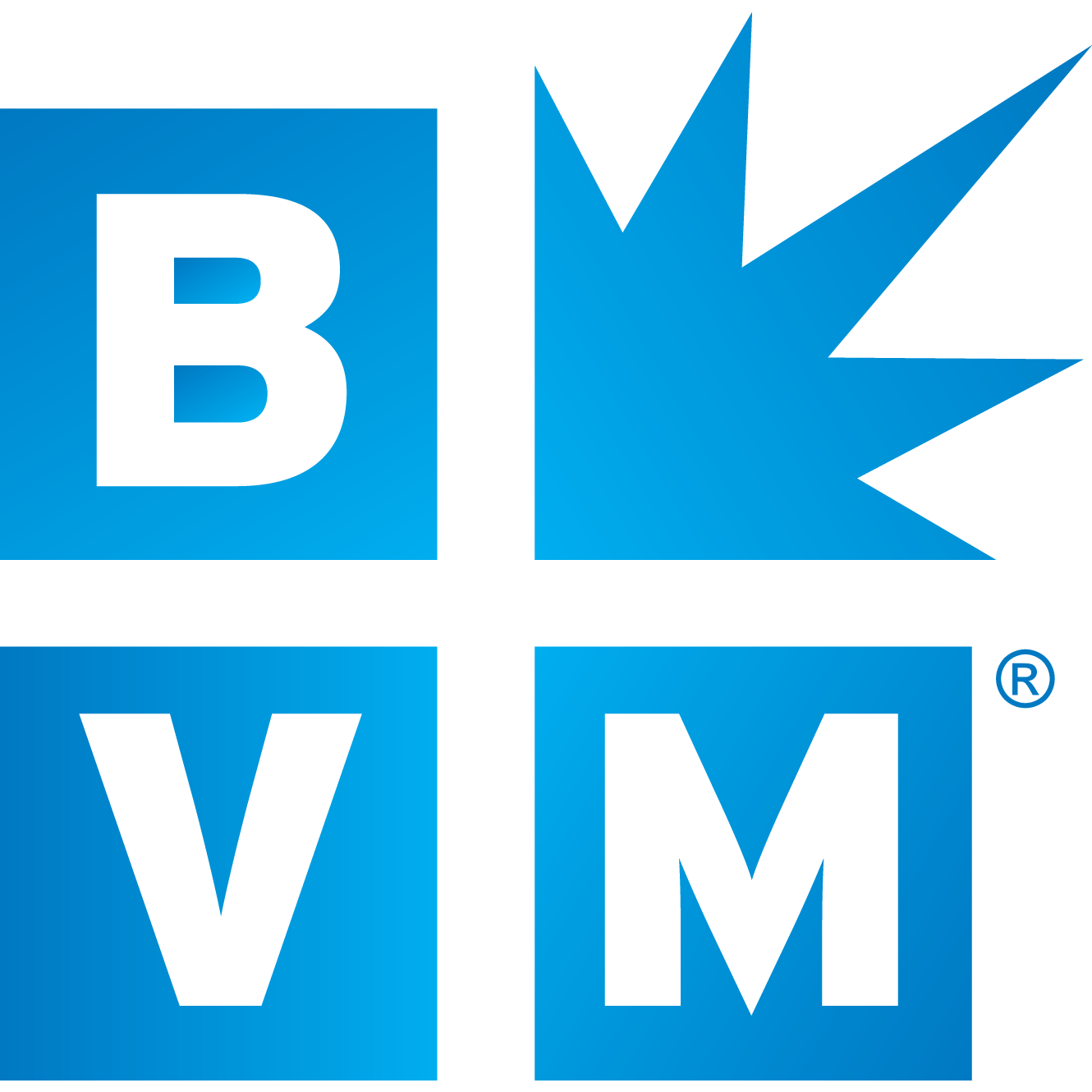 Best Version Media (BVM) connects thousands of small businesses to local residents by offering busin Best Version Media Brookfield (262)320-7054