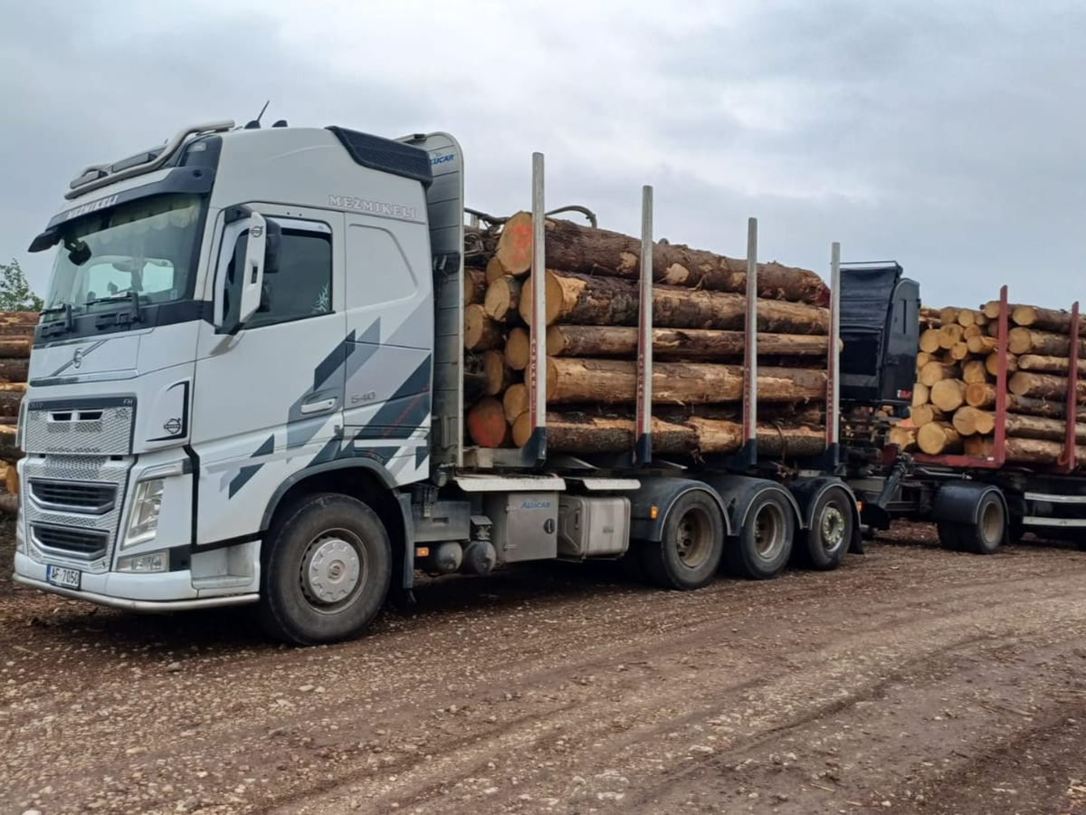 Kokmateriālu transportēšana ar jaudīgu meža tehniku Tukuma novadā.
