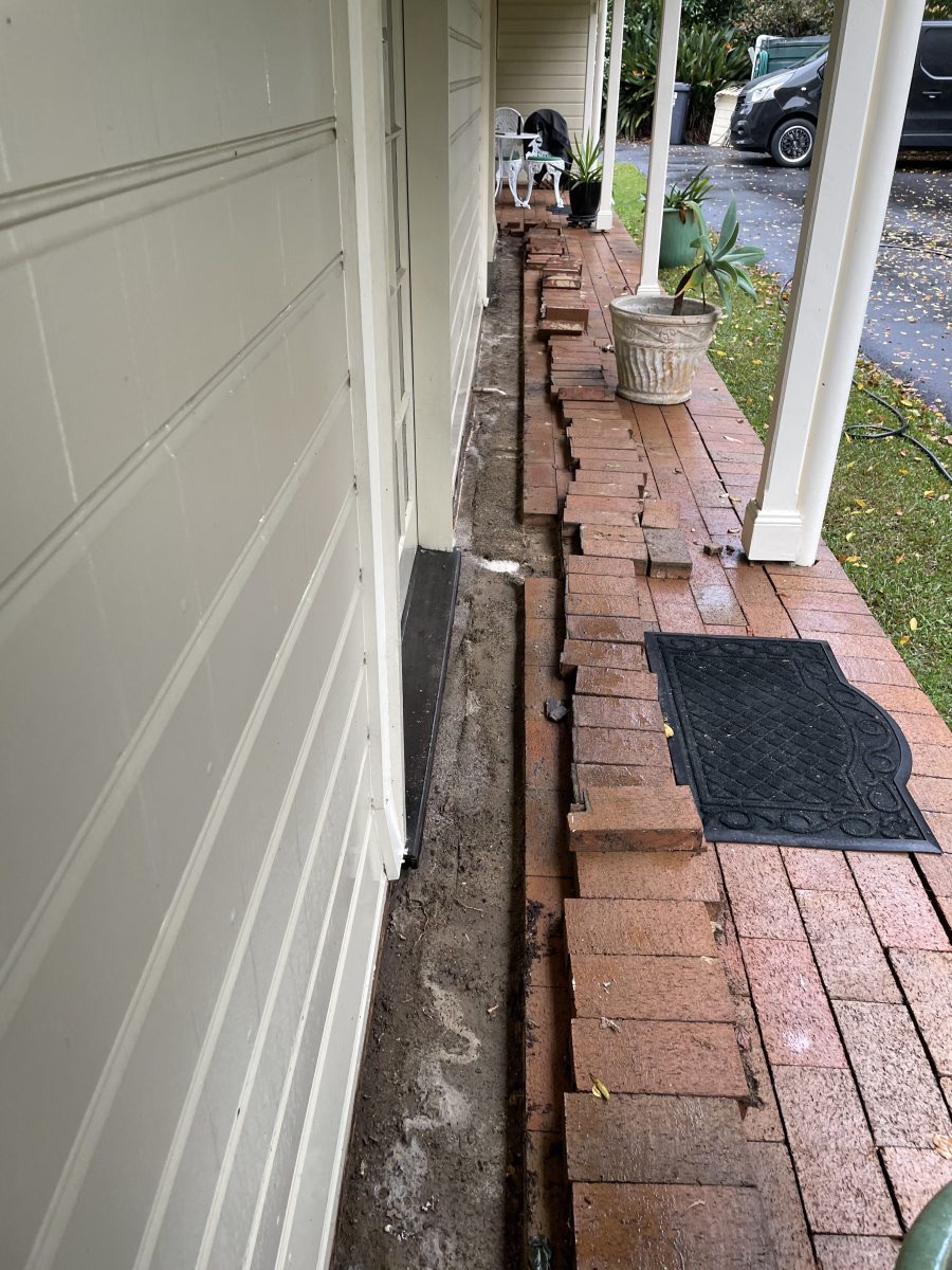 Images Assassin Pest Control