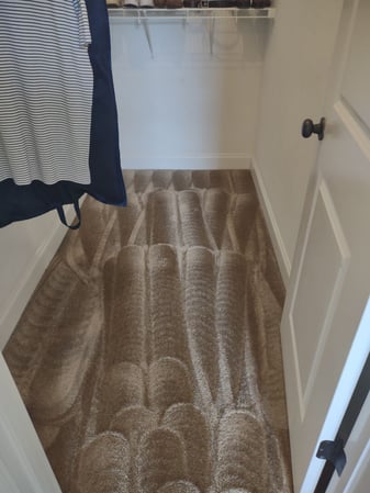 Images All Steamed Up Carpet Cleaning