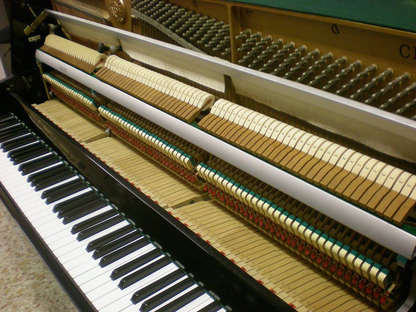 Images Pianoforti Bandiera