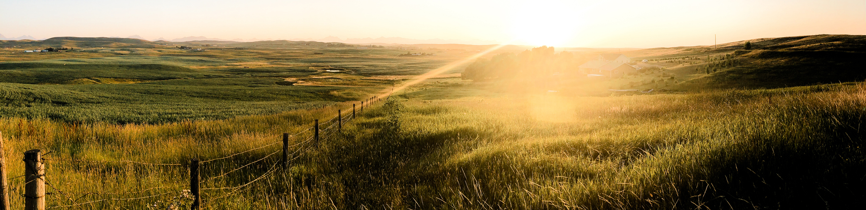 Beautiful rolling hills in the sun.