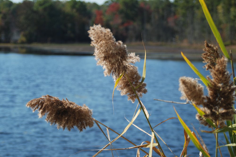 Bestattungsdienst Hedy Linder-Walther AG, Zieglerstrasse 26 in Bern