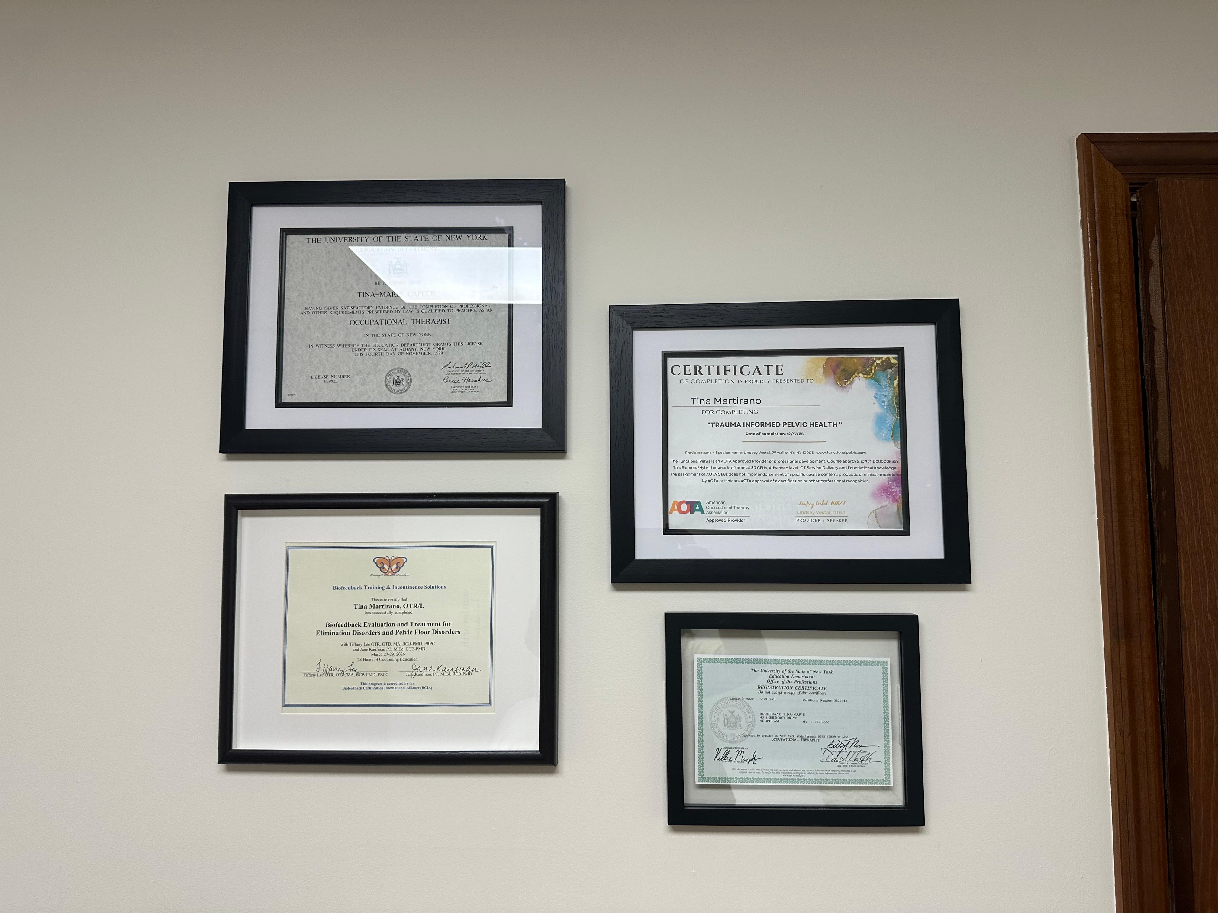 Balanced OT Wellness for Pelvic Health Diplomas