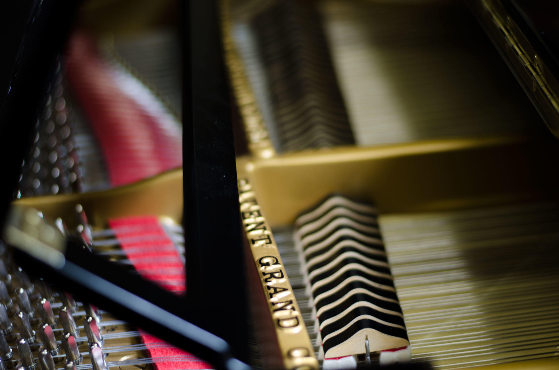 Moser Rudolf Meisterbetrieb - Pianos KG, Templstraße 30 in Innsbruck