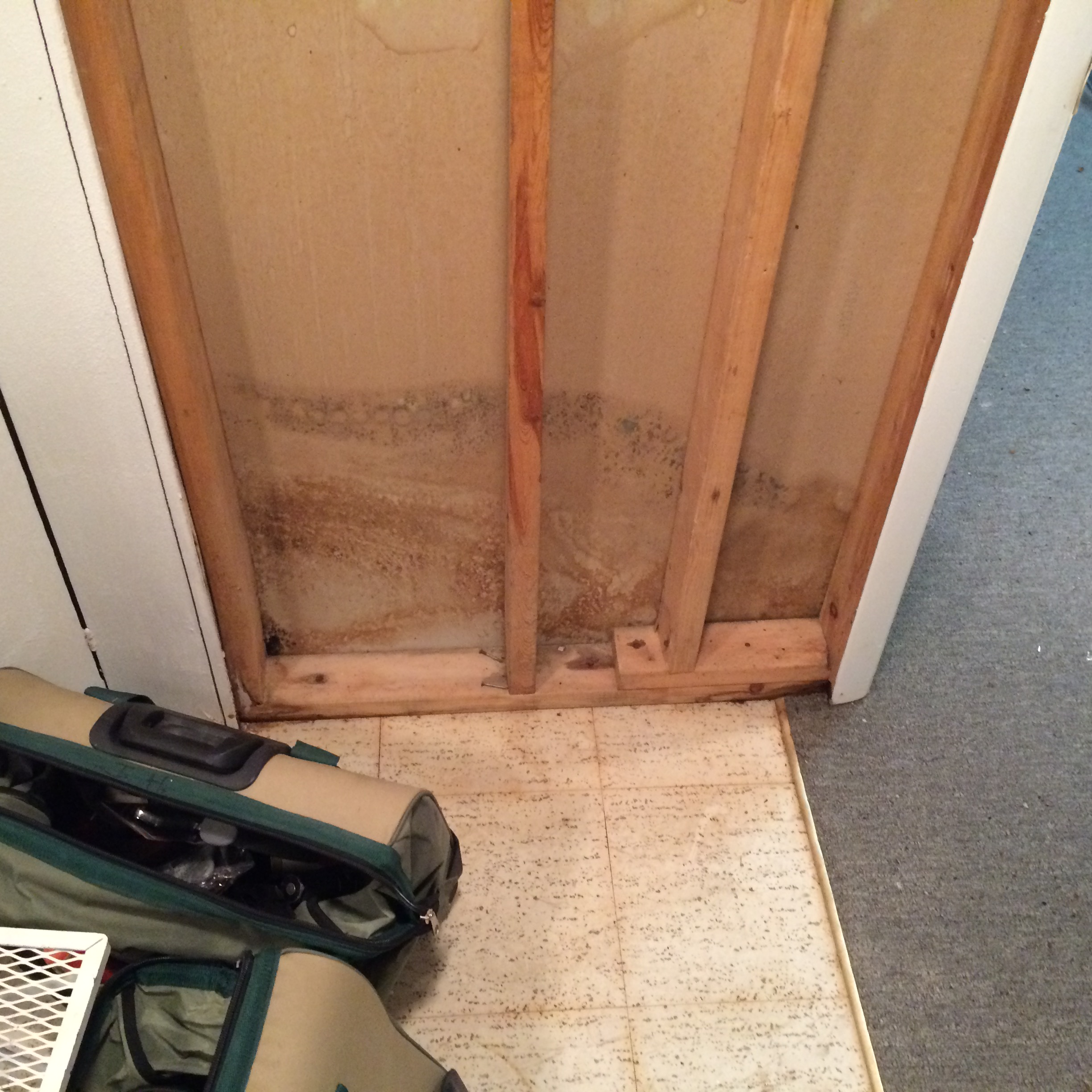 Can you spot the mold? SERVPRO can and we are ALWAYS ready to respond.