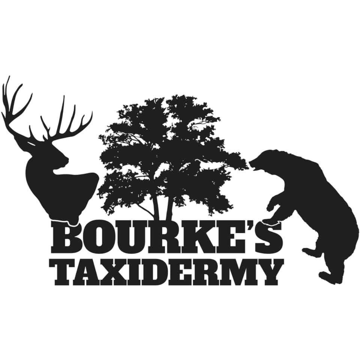 Bourke&apos;s Taxidermy Logo