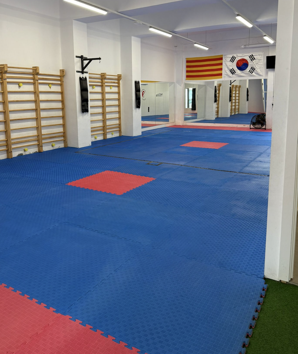 Images Taekwondo Bandal Granollers
