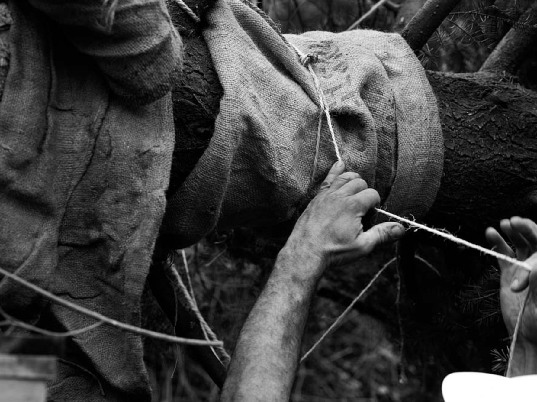 Select Garten GmbH, Im Chapf 11 in Erlenbach ZH