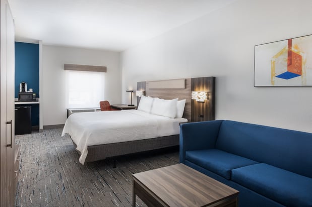 Images Holiday Inn Express Atlanta West - Theme Park Area by IHG