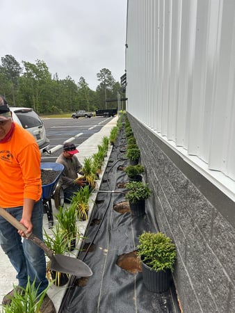 Images Juan Mata Lawn Care Services