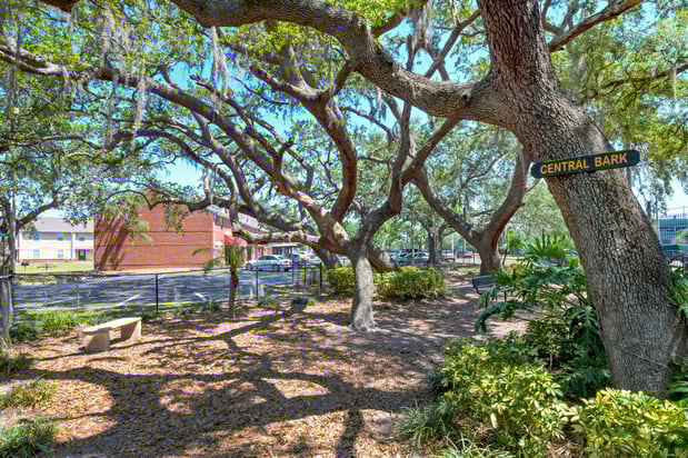 Images Campus Crossings on Alafaya