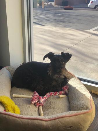 Images Joe Andrus - State Farm Insurance Agent