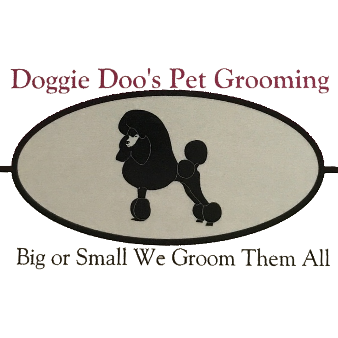 business logo