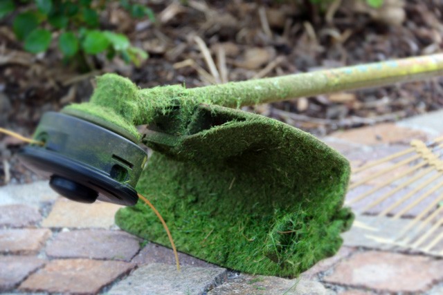 Bilder Dober Märchy Gartenpflege GmbH