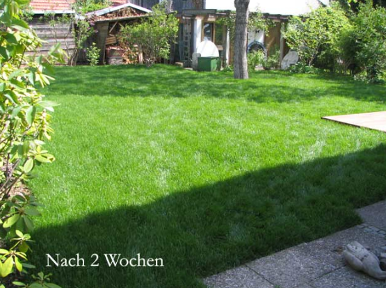 Kundenbild groß 21 Werner Anderlik Garten- und Landschaftsbau GmbH