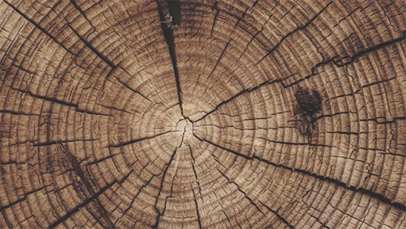 Images Flex Modul A/S