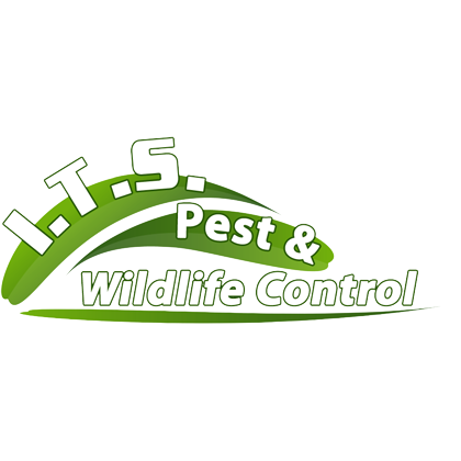 I.T.S. PEST & WILDLIFE CONTROL