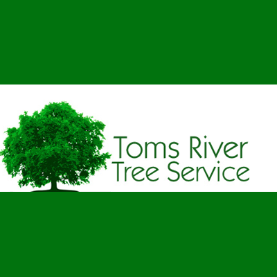 Toms River Tree Service - Toms River, NJ - (732)349-3596 | ShowMeLocal.com