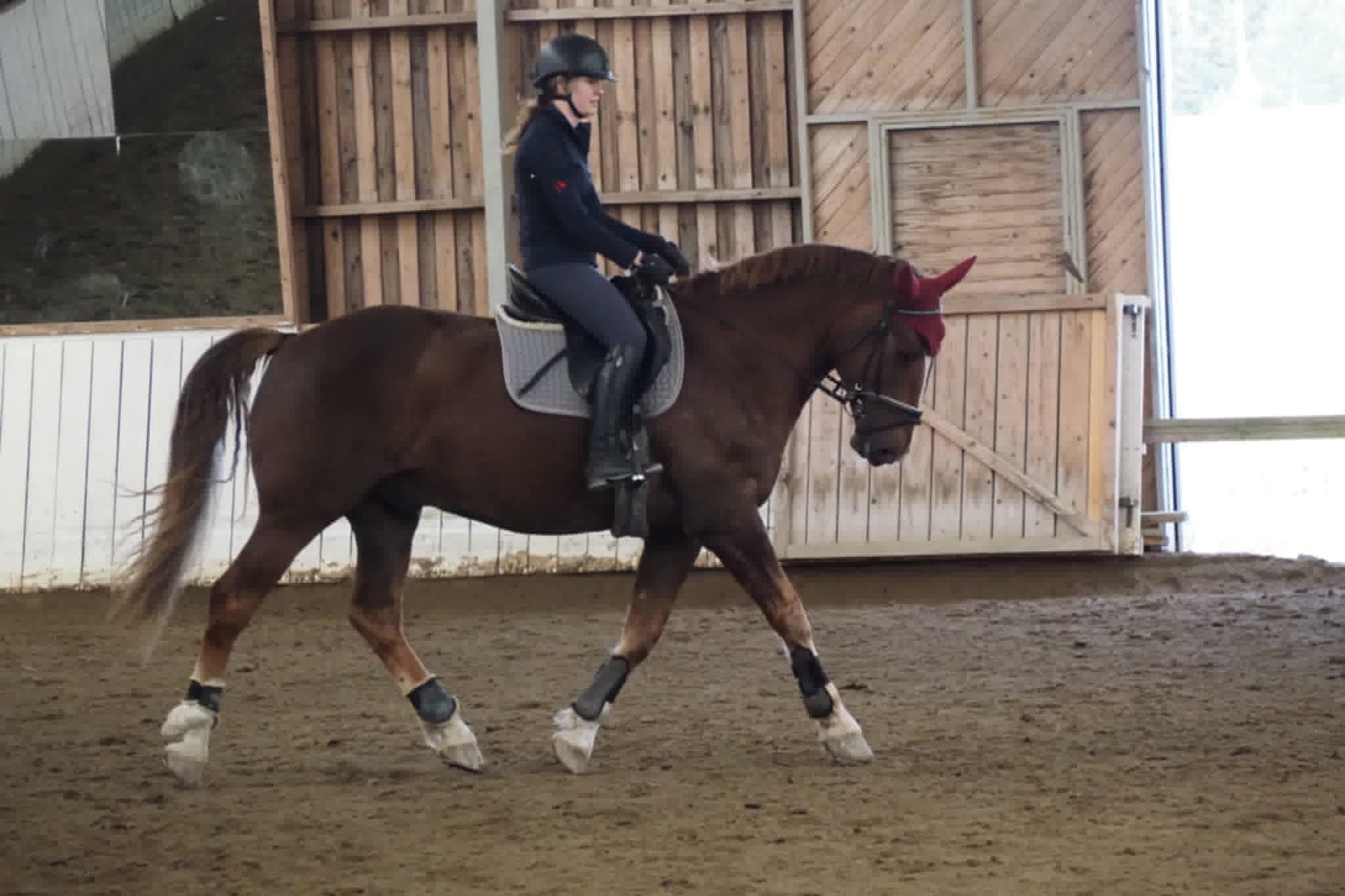 Images Relanderin Ponitalli