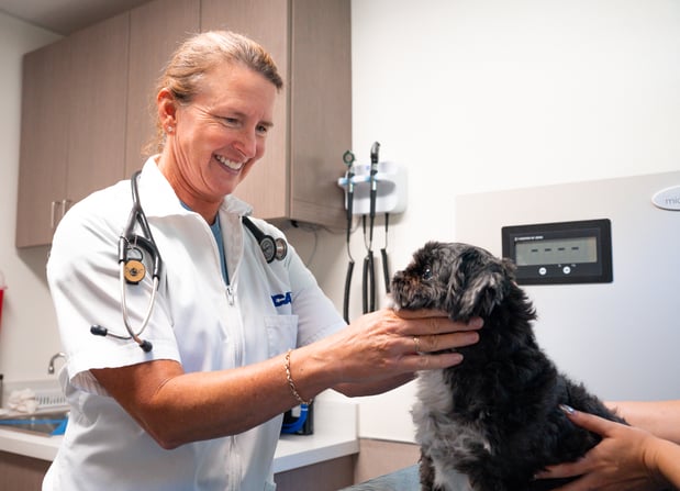 Images VCA Veterinary Hospital of Leon Springs