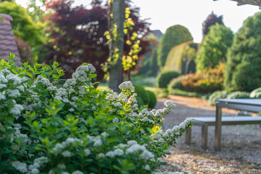 Gerber Gärten AG / Gerber Blumen, Langenthalstrasse 62 in Lotzwil