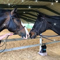 Center Peace Farm Image