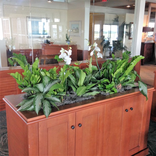 Images Coastal Interiorscapes