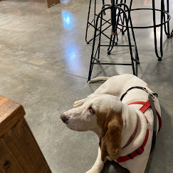 Images Hidden Hills Vineyard and Winery