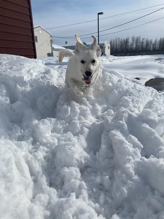 Images Michael Venable - State Farm Insurance Agent