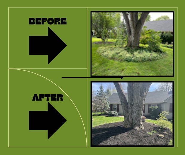 Images Shepherd's Landscaping