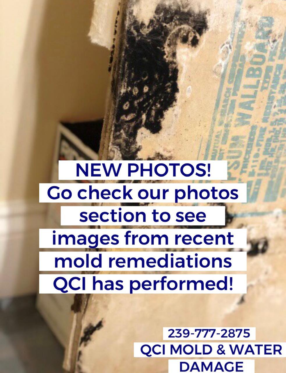 Image 12 | QCI Mold and Water Damage