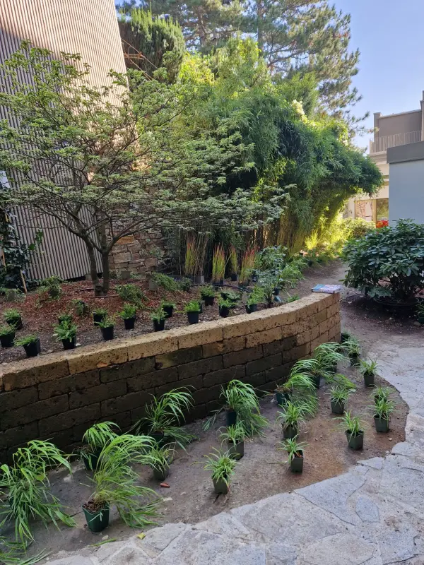 Bild 8 von Kocak Gartengestaltung