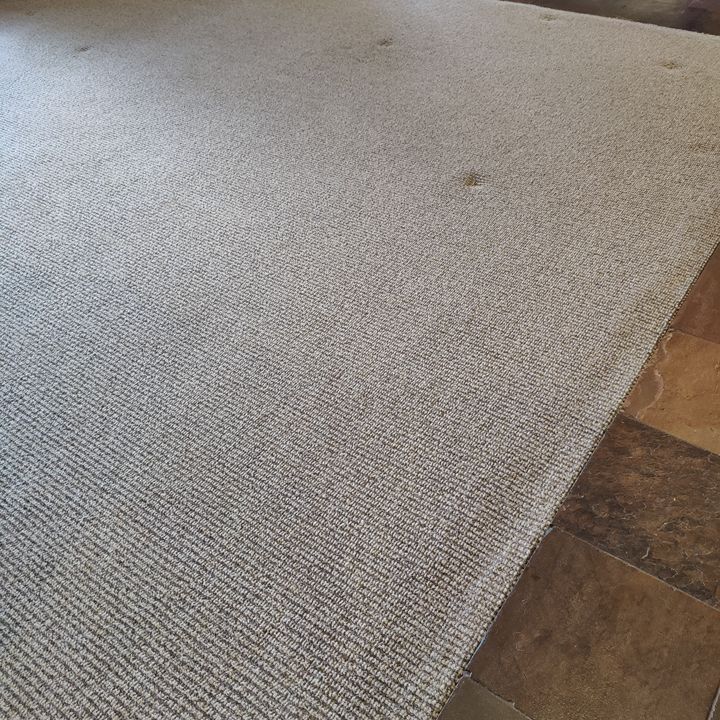 Masters Touch Carpet Care Image