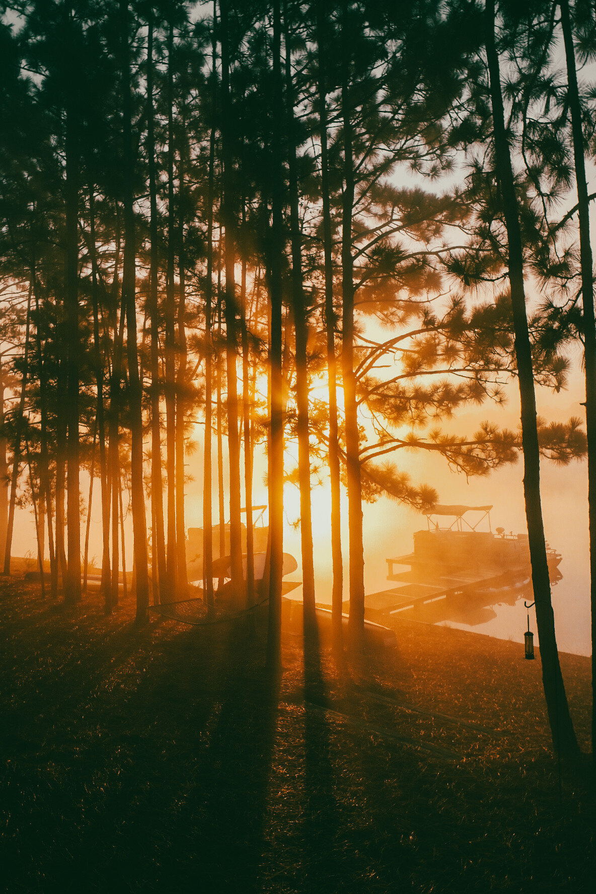 Images Block 88