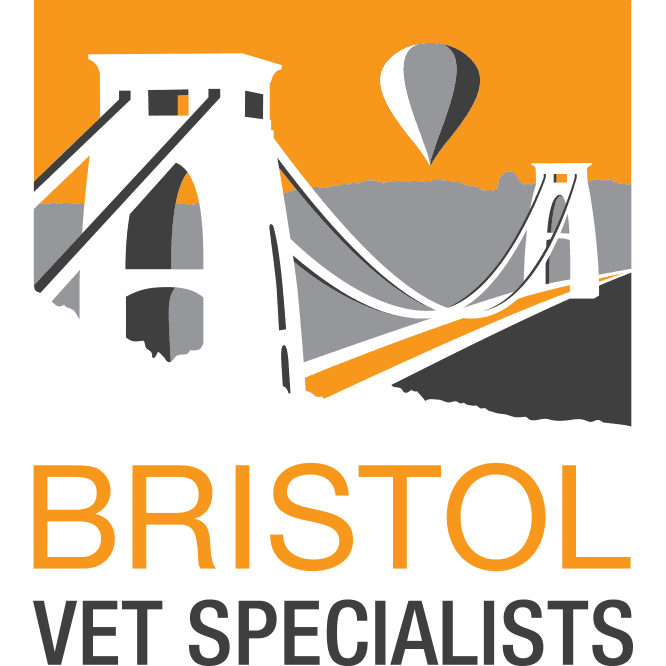 Bristol Vet Specialists Logo