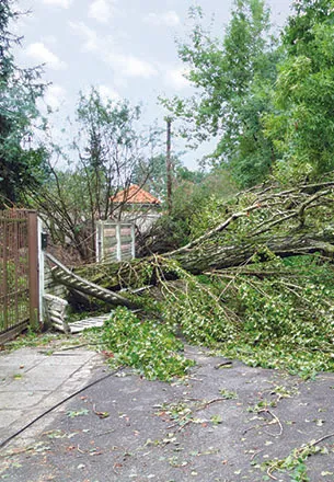 Images Huffstetler Tree & Lawn Services Inc.