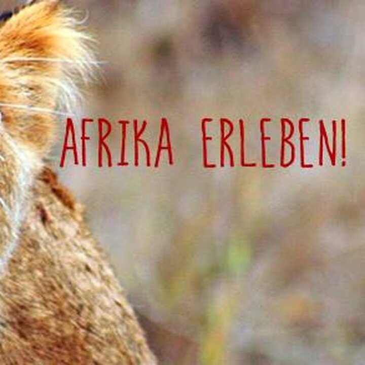 Go n joy Africa, Hönower Straße 35 in Berlin