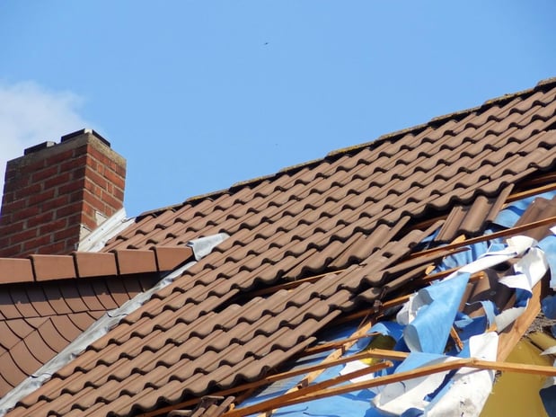 Images Dolphin Roofing - Roof Repair & Replacement