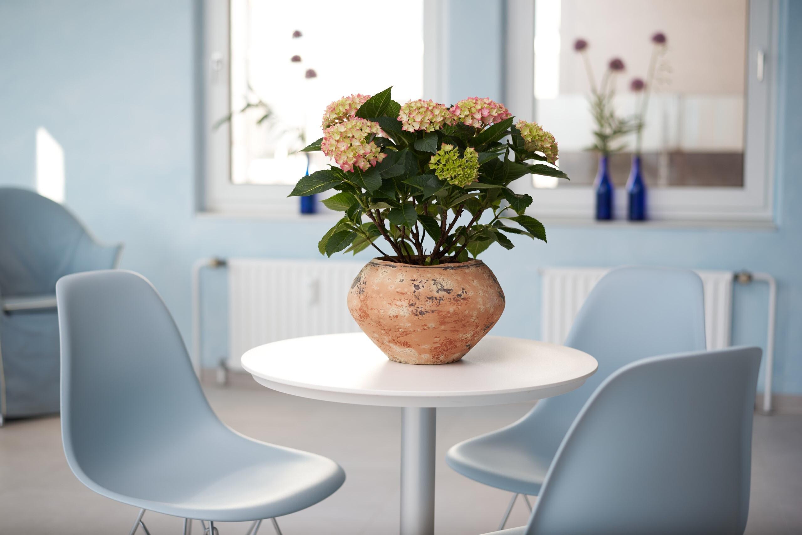 Kundenbild groß 3 Kinderwunschzentrum Erlangen - Dr. Jan van Uem & Dr. Madeleine Haas