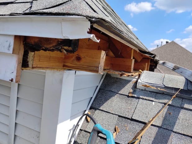 Images BPP Professional Painting LLC