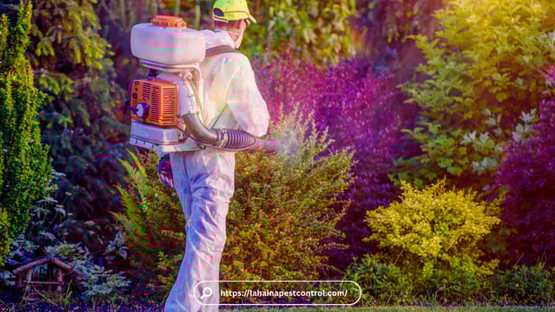 Images Pest Control Baltimore