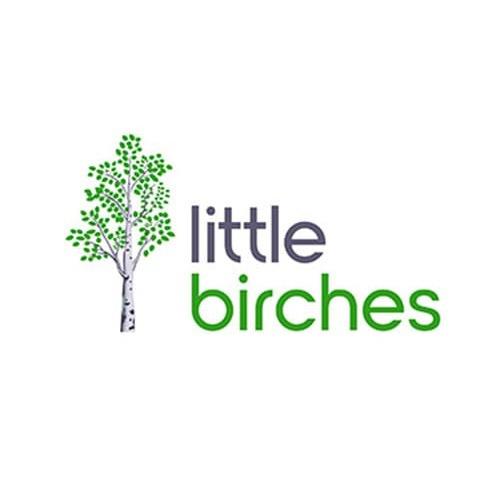 Little Birches Nursery & Preschool Logo