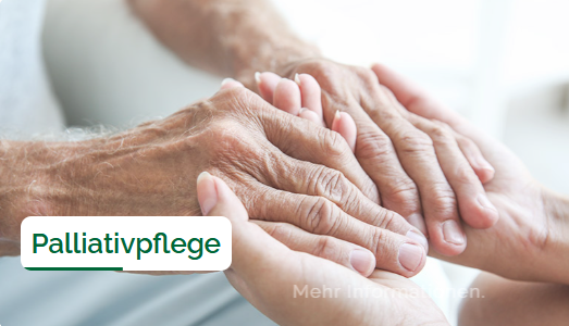 Pflegeservice Albersdorf GmbH, Friedrichstr. 8 B in Albersdorf