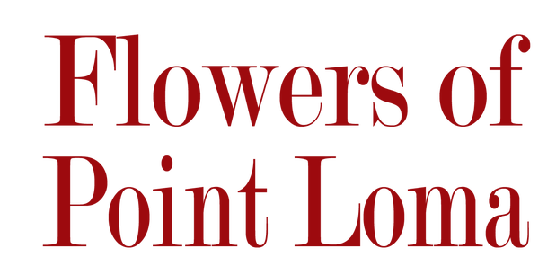 Images Flowers Of Point Loma