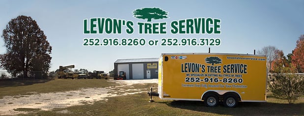 Images Levon's Tree Service