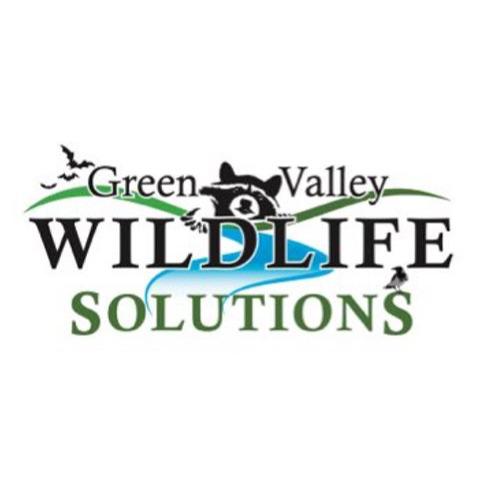 Green Valley Wildlife Solutions - Westerville, OH 43082 - (740)501-6294 | ShowMeLocal.com