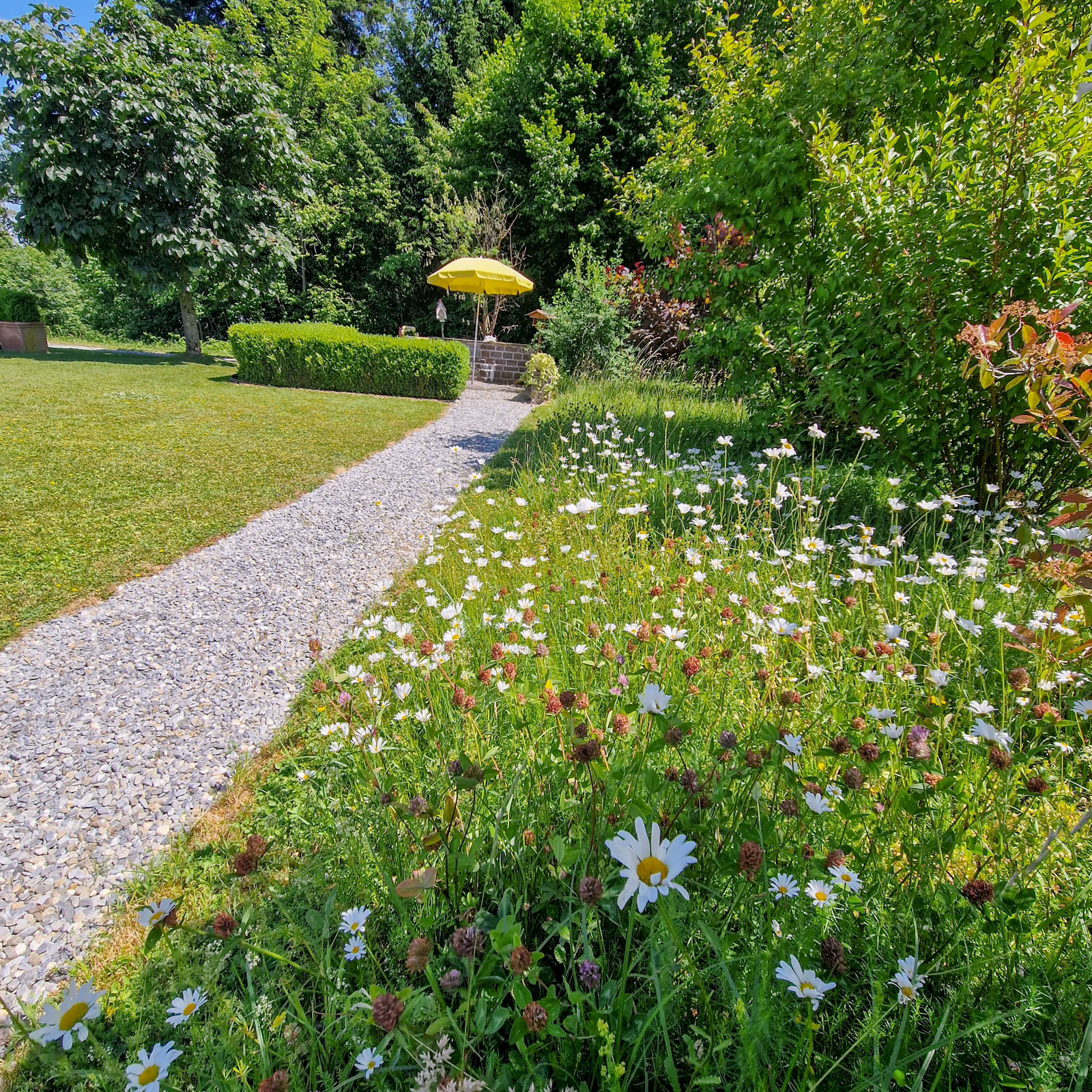 Bilder hollenstein blumengarten ag-Blumenshop-Gärtnerei-Gartenbau-Unterhalt-Grabpflege